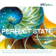 Ciarán Farrel - Perfect State